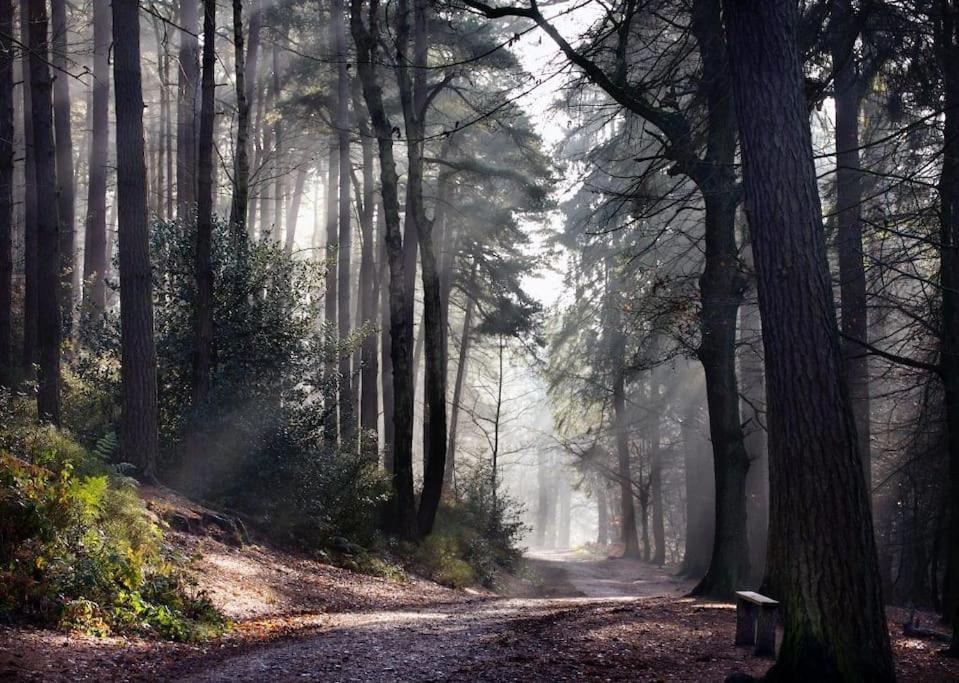 Wonderful With Nature & Fun * Birmingham